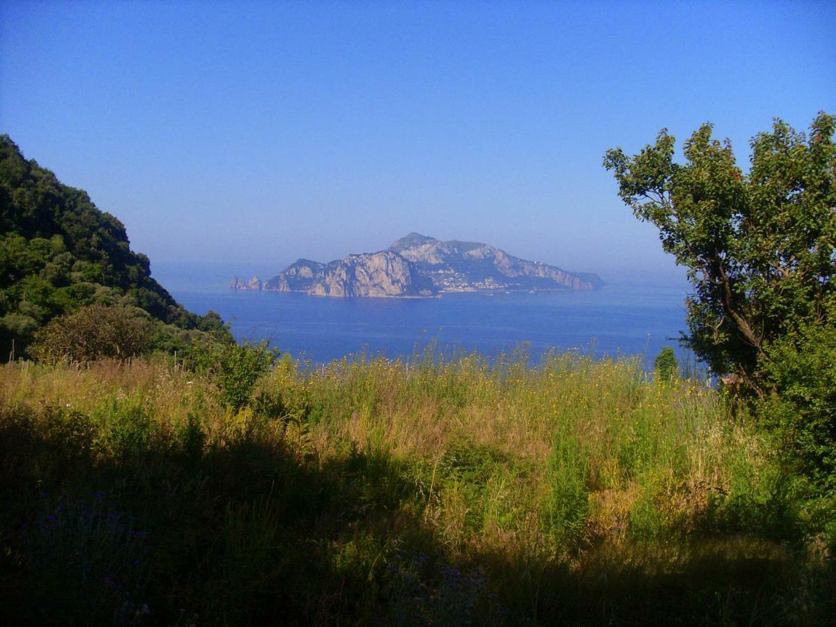 Il Paradiso Degli Dei Agerola Exteriér fotografie